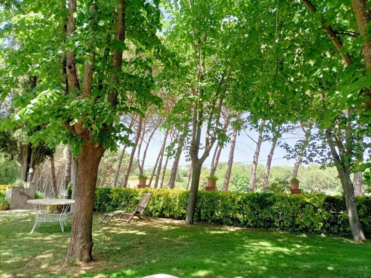 فيدريريس Can Jan Vives المظهر الخارجي الصورة